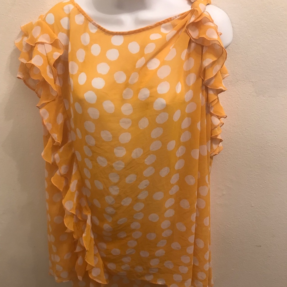 Woman’s Plus Sheer Blouse Lane Bryant 24